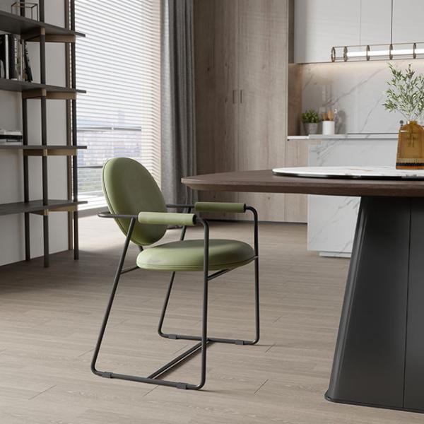 Minimalist Ultra Modern Dining Chairs Titanium Frame Stainless Steel Dining Chair