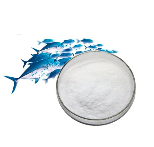 24 mois Durée de conservation Poudre de collagène pur de qualité cosmétique pour la régénération du collagène