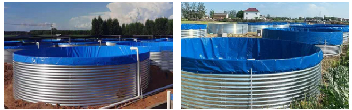 Above Ground Tarpaulin Fish Pond With Galvanized Sheet Outdoor