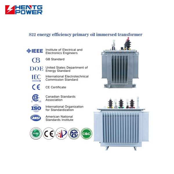 High Efficiency 500kVA Oil Immersed Transformer with 11kV Input and 0.4kV Output for Renewable Energy Projects