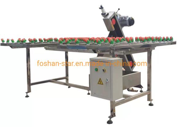 Machine de broyage rapide de verre à chauffage par convection avec assistance à distance