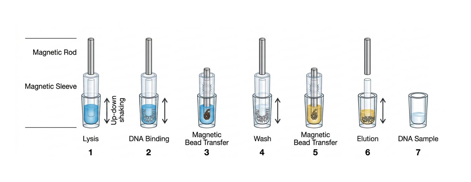 APS-16/48/96 Automated Magnetic Bead Nucleic Acid Extractor