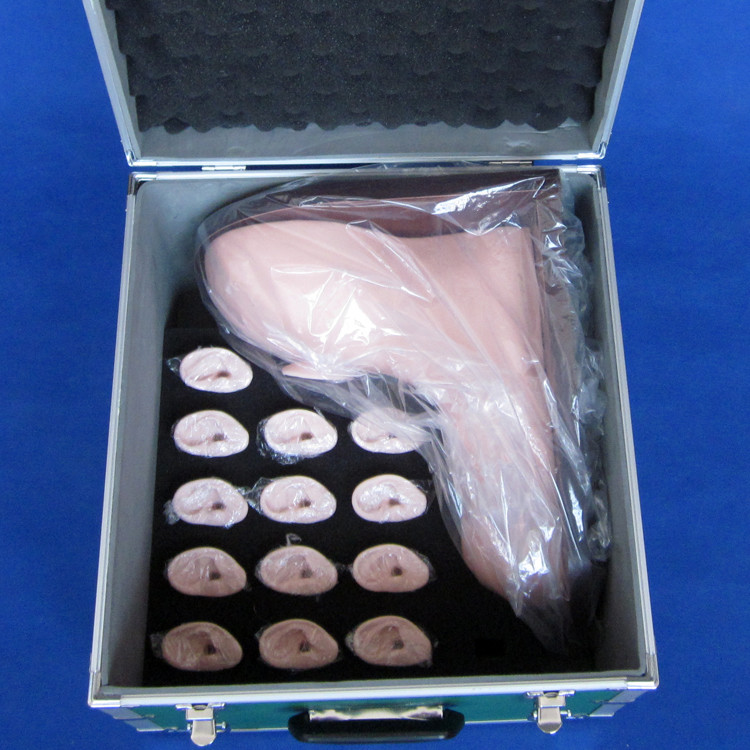 Medical Education Ear Examination Model Realistic Human Simulation with 14-pc Set