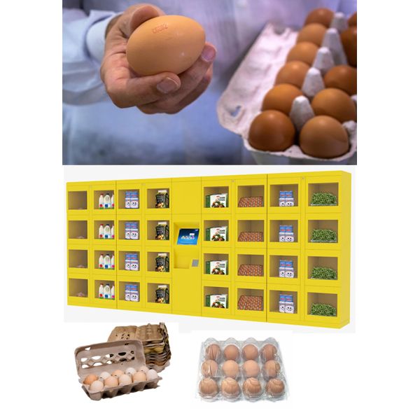 Indoor Outdoor 24 Hours Eggs Vending Lockers Keep Fresh Packed With Coolant System