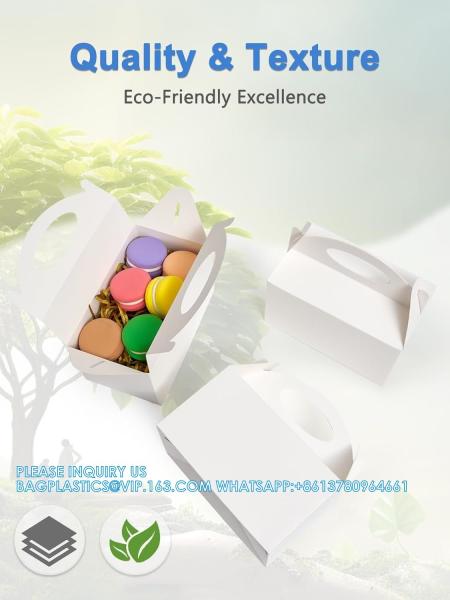 Party Favor Treat Boxes, Goodie Boxes, Gable Paper Gift Boxes With Handles. Rainbow Party Decoration Supplie