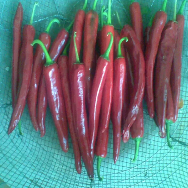 Обогащенный порошок чили с высоким содержанием витамина С