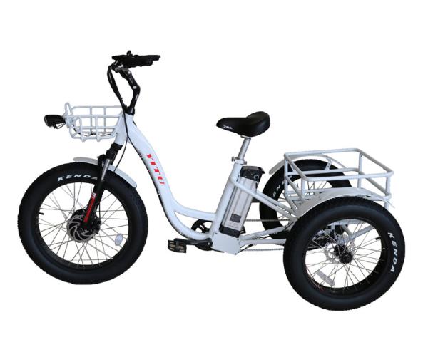 Aluminum Alloy Frame 48V 500W 3 Wheels Electric Cargo Tricycle with 24x4.0 Fat Tires