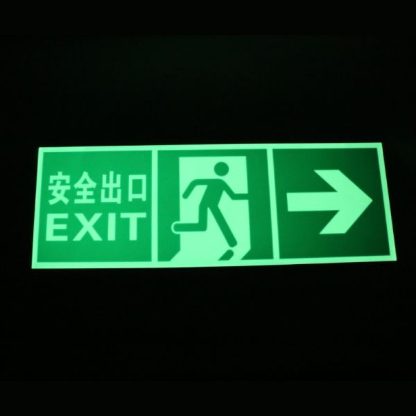 Emergency Photoluminescent Safety Exit Sign Brushed Aluminum