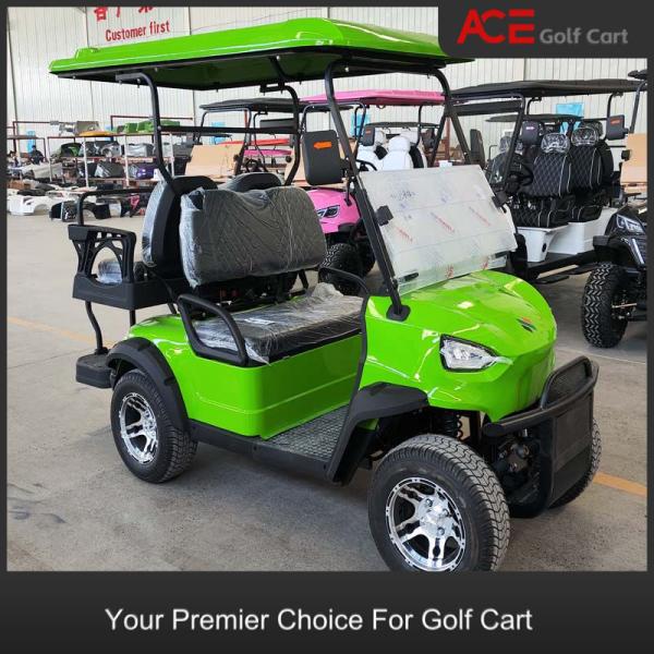 4 People Load Capacity Electric Hunting Vehicle With High Strength Carbon Steel Chassis