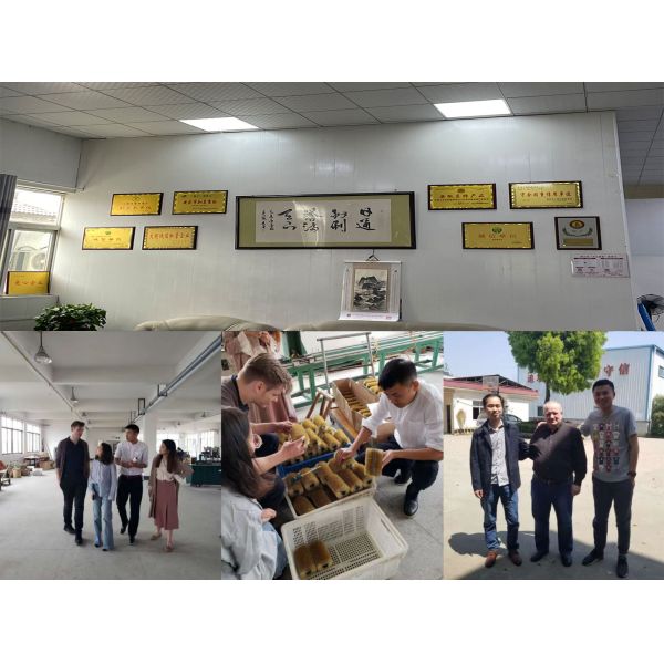 Tufted Bristle Custom Industrial Brushes Cylindrical Fruit Polishing Cleaning Brush Roller