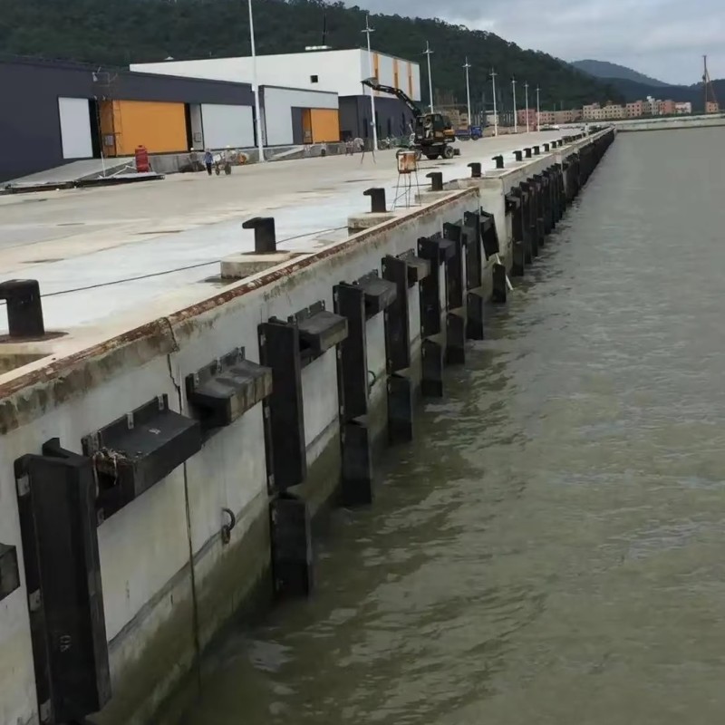 CCS Certified 3L# Natural Rubber Fender D-Shaped Design for Easy Mounting & Durability Black Customized Size for Ship Docks