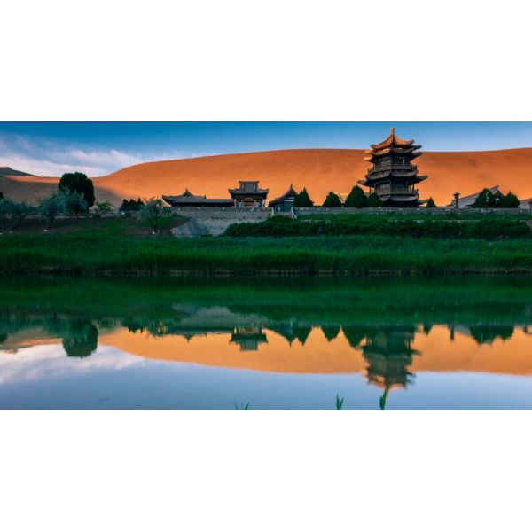 40% Seaweed Extract Polysaccharide Fertilizer Powder Total Water Soluble