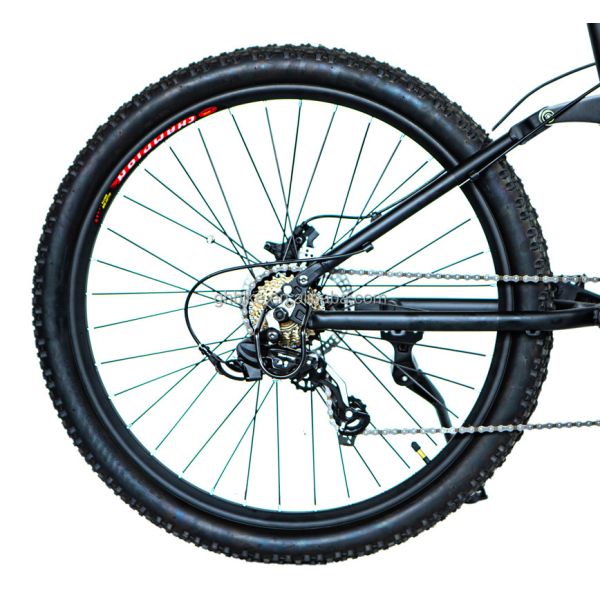 Powerful 1000W 48V Central Mid Drive Motor Electric Mountain Bike for Adult Men 29 Inch