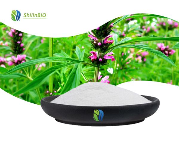 Motherwort Herb Extract Stachydrine Hydrochloride 