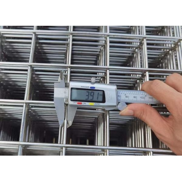 5 X 10 Cm Welded Wire Panels Rectangular Hole For Poultry Farming Coop Fencing