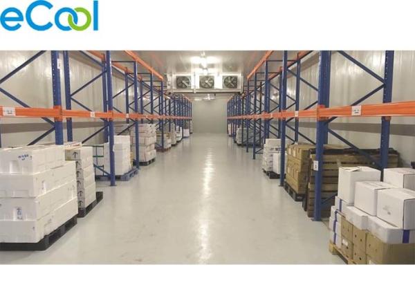 Insulated PUR Panel Cold Room Storage Warehouse -18C ~ -20C For Plastic Packed Frozen Food
