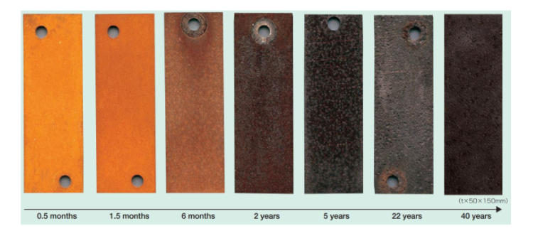 Tulip Shape Large Outdoor Sculpture Corten Steel garden ornaments