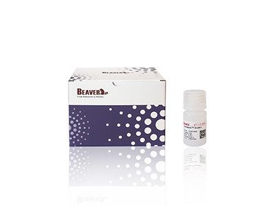 BeaverBeads  15-50um Sulfonic Acid Group MCX NanoParticles  Magnetic Beads