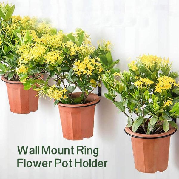 4 inch Wall Planter Ring Hanger Standard Wall Mounted Pot Hook Bracket for Wall Mount