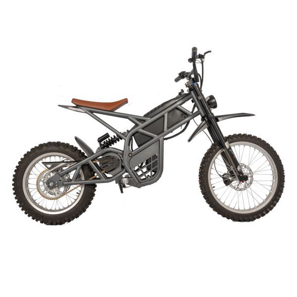 Steel Frame Fat Tire Bicycle Electric Dirt Bike for Men Rear Hub Motor Braking System