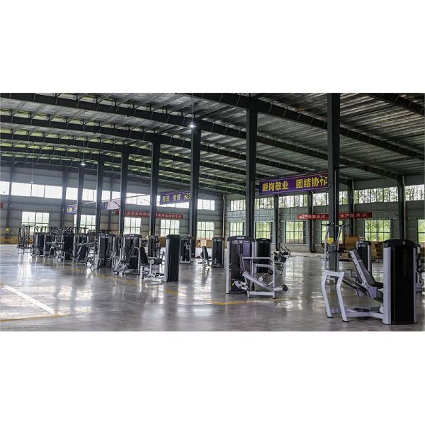 Shandong Freeman Fitness Equipment Co., Ltd.