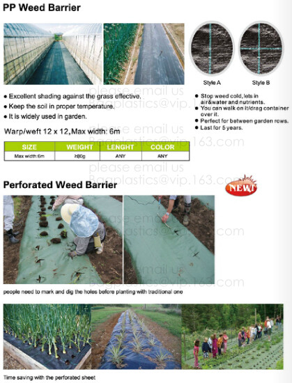 Weed Control Mulch Film, Agriculture Vegetable Black PE Films, 5 Holes Greenhouse Perforated Film