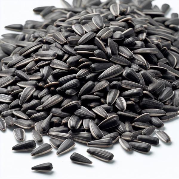 wholesale Dried Sunflower Seeds Factory Direct raw Wholesale T6 Sunflower Seeds