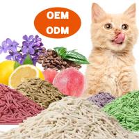 Litière pour chat en tofu écologique : le choix ultime pour une maison propre et sans odeurs - Parfum original au lait - Longueur 3-15mm