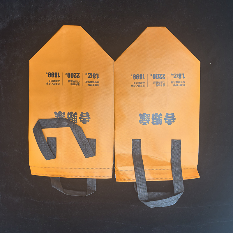 Durable Washable Non Woven Bag 100gsm Reusable Custom Print PP Spunbond Eco