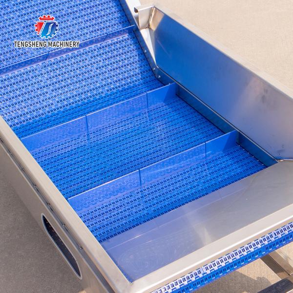 Automatic Leafy Vegetable and Fruit Pea Tomato Lifting Sorter Machine