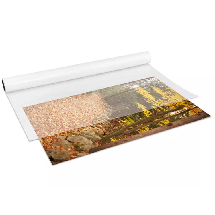 Customized Silicone Coated Paper Glassine Liner Blow Molding Plastic in White Yellow Blue Release Paper