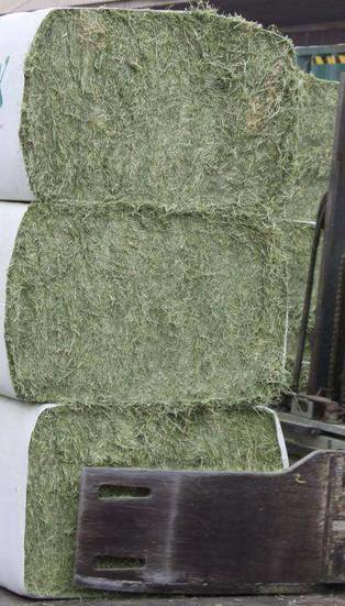 Biodegradable Woven Hay Bale Packing Cloth Non Toxic Mulituse 60 Gsm - 110 Gsm