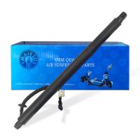51247318651 51247318652 ouvreur automatique de porte coulissante électrique pour BMW X6 F16 2015-2019