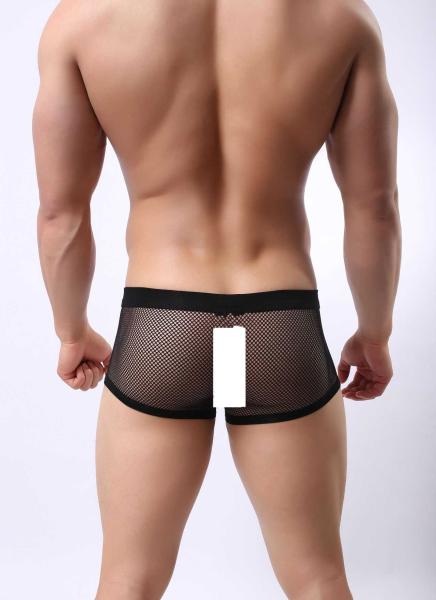 Mens Sexy Boxer Shorts Xl See Through Mesh Waistband Briefs Club Wear Customized Waistband Boxer Briefs