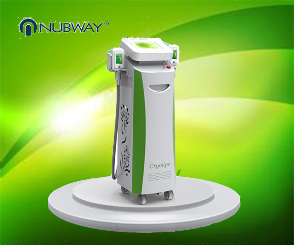 biggest promotion at least 3-4 cm fat remvoal after one treatment Cryolipolysis bodys slimming machine