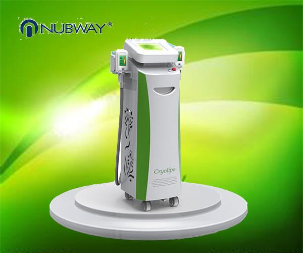 biggest promotion at least 3-4 cm fat remvoal after one treatment Cryolipolysis bodys slimming machine