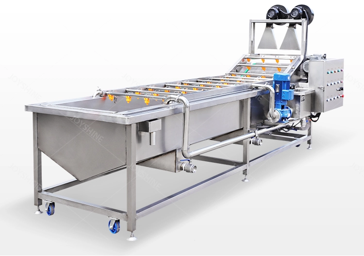 SUS304 Stainless Steel Bubble Vegetable Washing Machine For Carrots Potatoes Ginger Apples