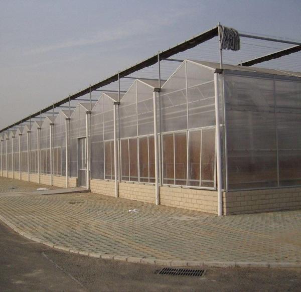 20GP 40GP 40HC Span Multi PE Film Plastic Agriculture Greenhouse Kit for Multi-Span