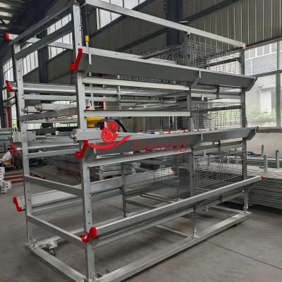 Adjustable Drinking System Poultry Cage System in Morocco