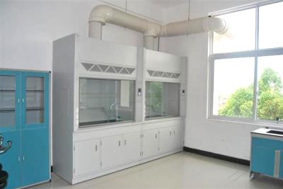 All Cold Rolled Steel Lab Fume Cupboard , Portable Chemical Fume Hood With Exhaust Fan