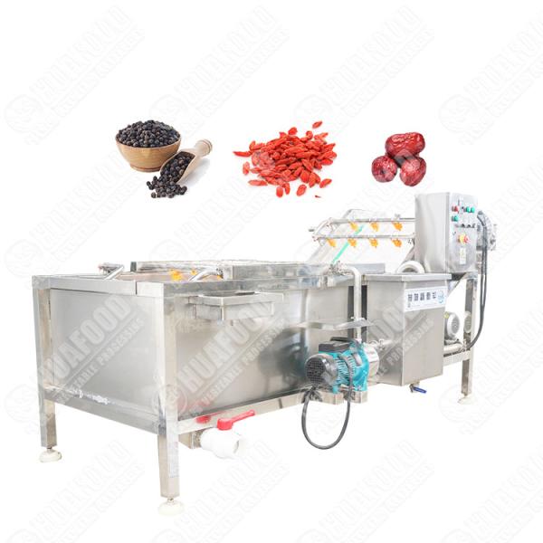 Professional Cleaner Food Factory Ultrasonic Grape Appliances Washing Machine