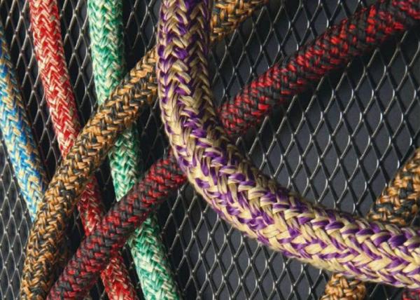 ANIMAL DE ESTIMAÇÃO/Sleeving trançado bonde expansível de nylon para a tampa de grande resistência do cabo