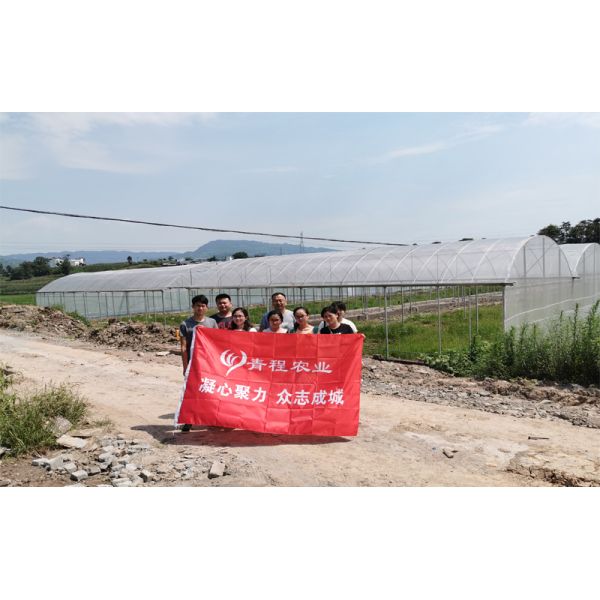 Chongqing Qing Cheng Agricultural Science And Technology Co., Ltd.