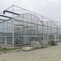 Serre chaude en verre automatique de Multispan de voûte de film de fleur de concombre de tomate de culture hydroponique