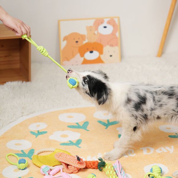 Playing Dog Toys 7PC Set of Braided Rope Toys for Pet Teeth Cleaning and Interactive Fun
