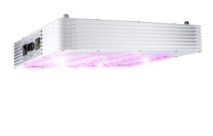 420W LED élèvent le panneau, plein spectre, lumière végétative, lumière de