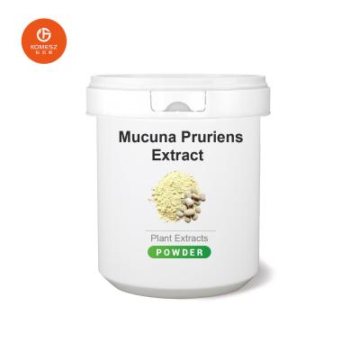 Découvrez les effets puissants de l'extrait de 4 1 Mucuna Pruriens sur votre santé