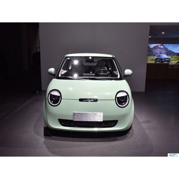 Changan Lumin 2024 205km Pure Electric Mini EV Passenger Car with Advanced Technology
