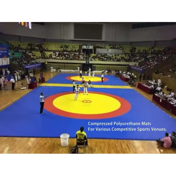 PU Mats 40mm 50mm Thickness for Arena Mats Taekwondo Martial Arts Karate Tatami Judo Mats for Martial Arts