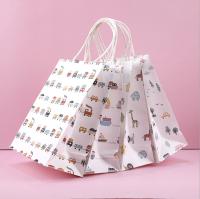 Custom Logo Paper Carrying Shopping Bags For Gift Clothes Packaging